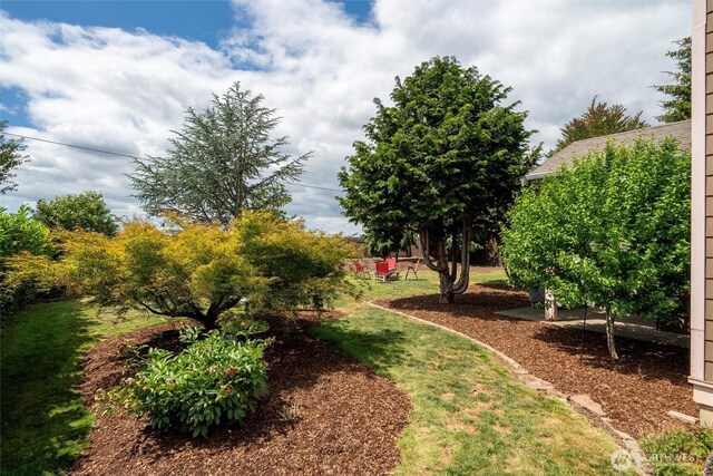 1877 Emerald Way, Lynden, WA 98264 - view of yard