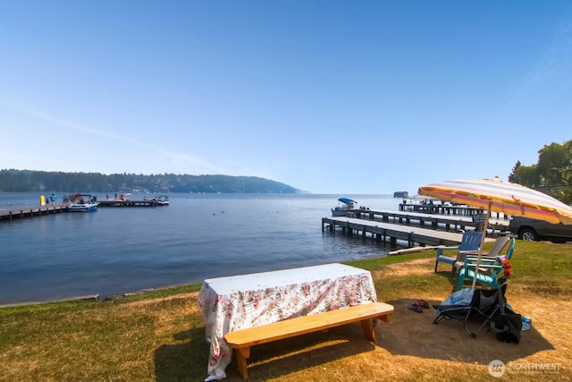 18328 15th Pl NE, Shoreline, WA 98155 - dock with a water view