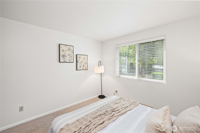 200 Mt Park Blvd SW Unit A204, Issaquah, WA 98027 - photo 20