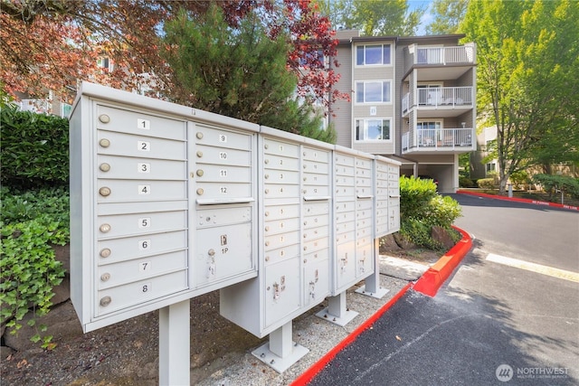 200 Mt Park Blvd SW Unit A204, Issaquah, WA 98027 - photo 28
