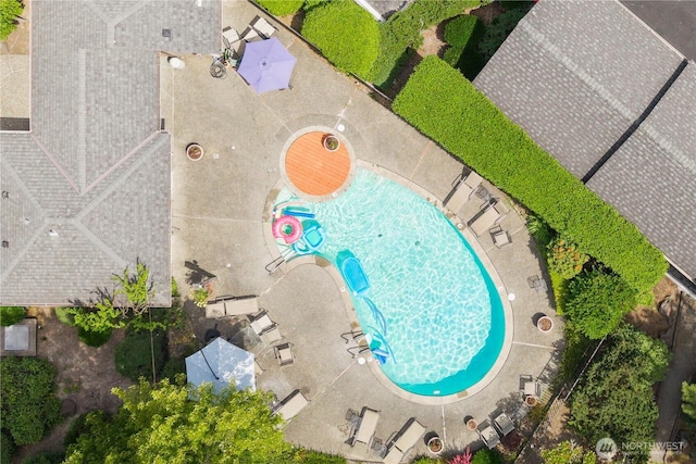 200 Mt Park Blvd SW Unit A204, Issaquah, WA 98027 - photo 31