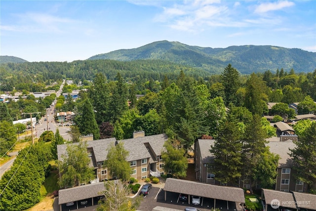 200 Mt Park Blvd SW Unit A204, Issaquah, WA 98027 - photo 33