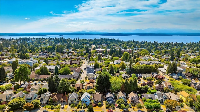 3430 42nd Ave SW, Seattle, WA 98116 - aerial view of residential area featuring a large body of water
