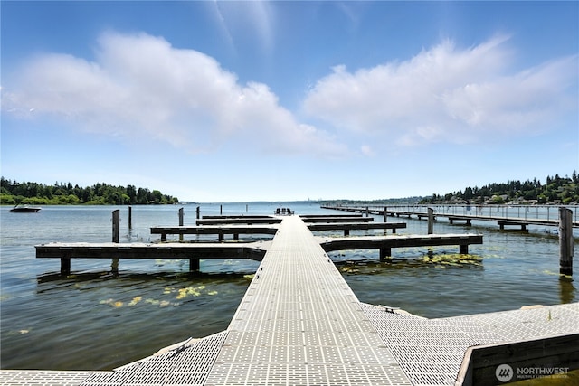 9717 NE Juanita Dr Unit 101, Kirkland, WA 98034 - dock with a water view