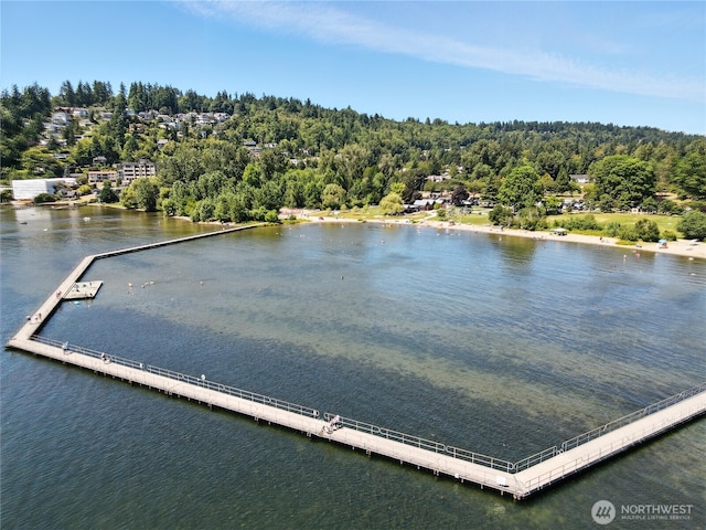 9717 NE Juanita Dr Unit 101, Kirkland, WA 98034 - water view featuring a heavily wooded area