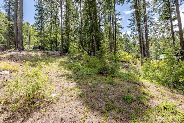 22660 Alpine Dr, Leavenworth, WA 98826