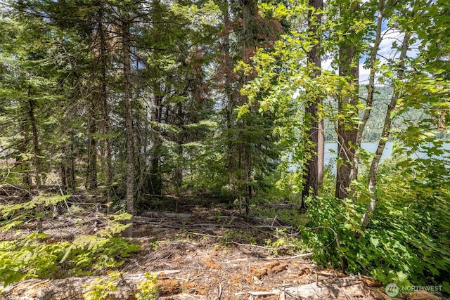 22660 Alpine Dr, Leavenworth, WA 98826