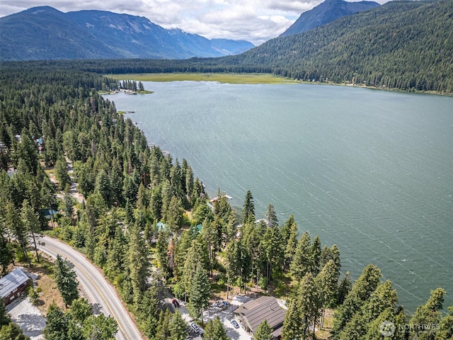 22660 Alpine Dr, Leavenworth, WA 98826