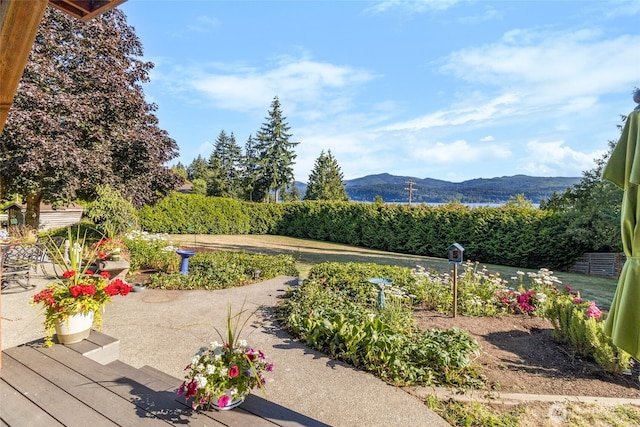 3319 Sunny Cove Ct, Bellingham, WA 98226 - view of yard with a mountain view