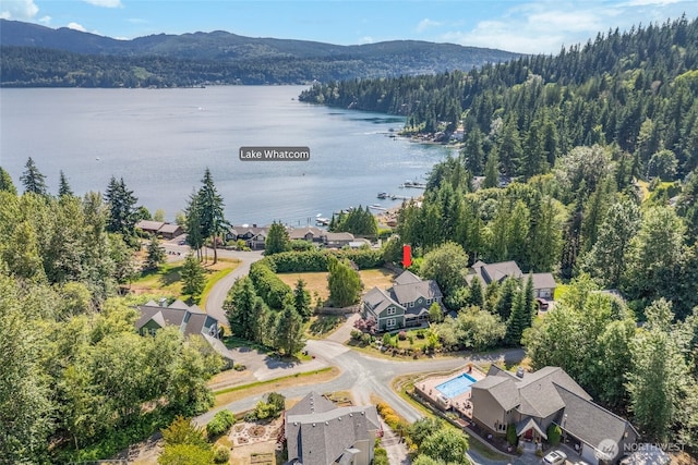 3319 Sunny Cove Ct, Bellingham, WA 98226 - aerial view of a water and mountain view and a forest