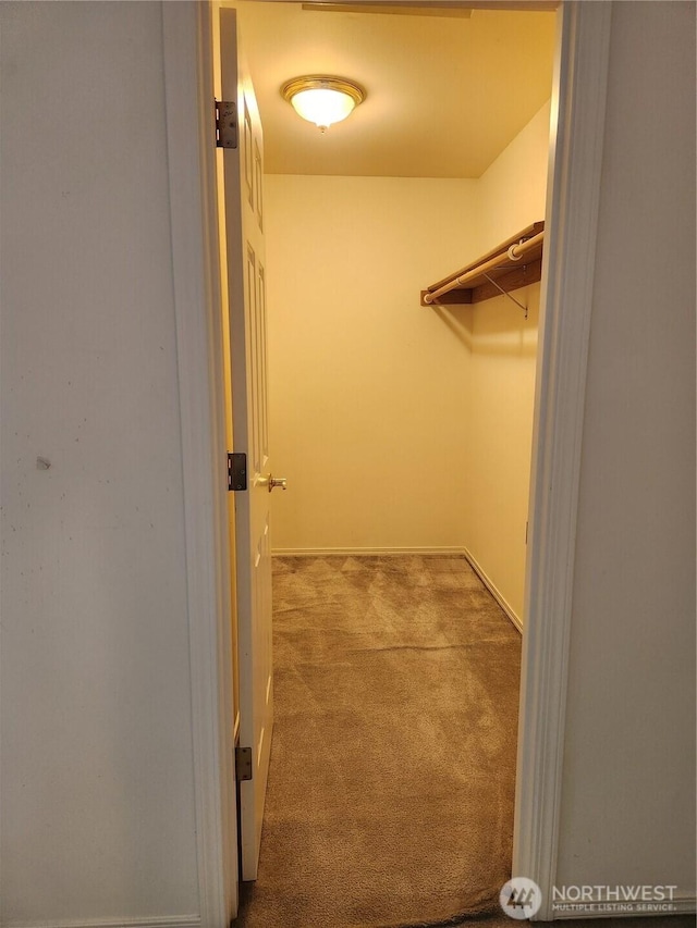 22528 100th Ave SE, Kent, WA 98031 - walk in closet featuring carpet flooring