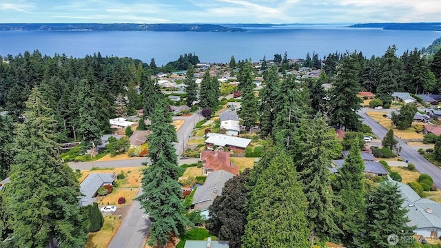29628 9th Pl S, Federal Way, WA 98003 - photo 37