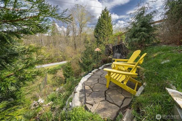 1008 Newton St, Bellingham, WA 98229 - photo 34