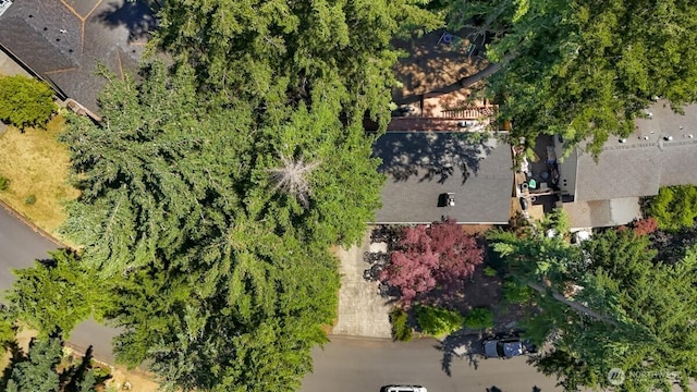 4402 Clearwater Dr SE, Lacey, WA 98503 - bird's eye view