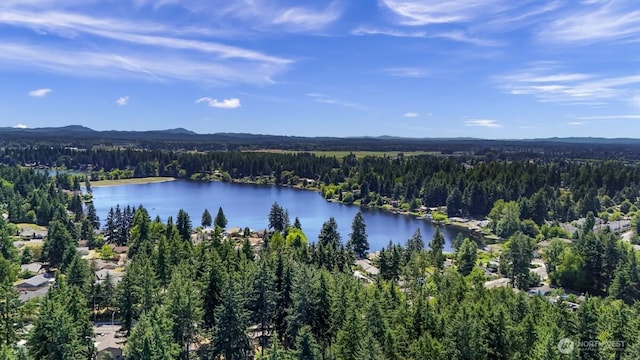 4402 Clearwater Dr SE, Lacey, WA 98503 - bird's eye view of a large body of water