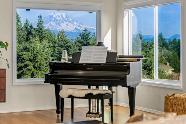 18110 85th St E, Bonney Lake, WA 98391 - sitting room with wood finished floors and a mountain view