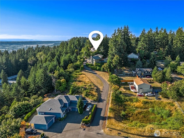 18110 85th St E, Bonney Lake, WA 98391 - aerial view of a heavily wooded area and a large body of water