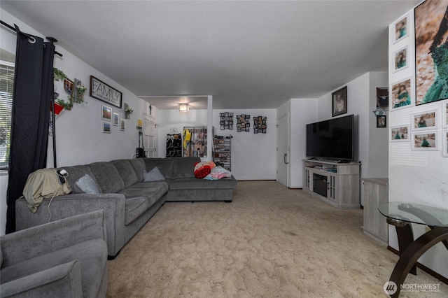 1710 E Highland Ave, Mount Vernon, WA 98273 - living area featuring light colored carpet