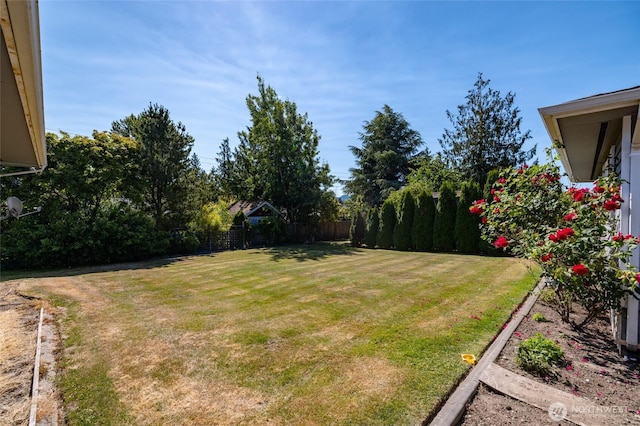 1710 E Highland Ave, Mount Vernon, WA 98273 - view of yard