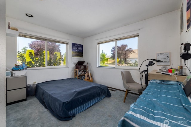 1710 E Highland Ave, Mount Vernon, WA 98273 - view of carpeted bedroom
