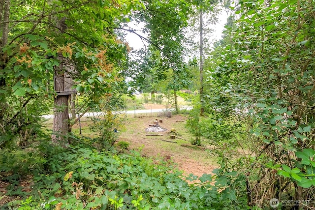 15816 251st St E, Graham, WA 98338 - view of yard