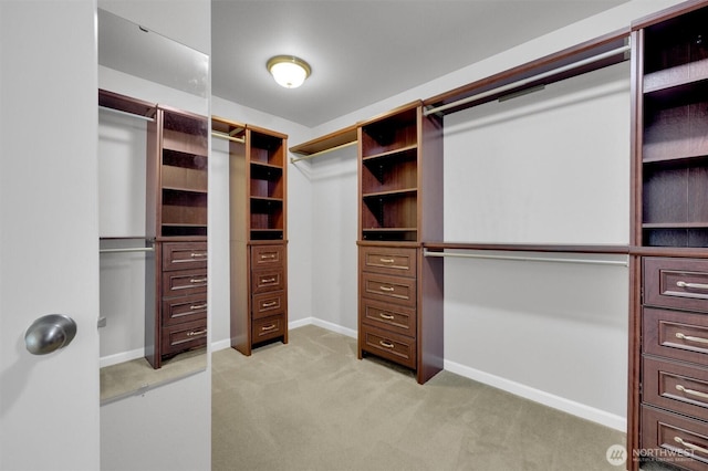11103 5th Ave SW, Seattle, WA 98146 - walk in closet with light carpet