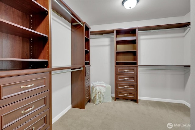 11103 5th Ave SW, Seattle, WA 98146 - walk in closet with light colored carpet