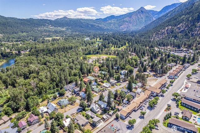106 River St, Leavenworth, WA 98826 - drone / aerial view of mountains
