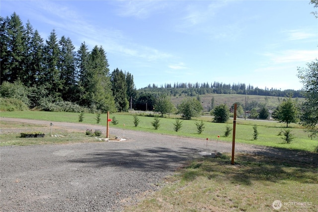 51 Cherry Ln, Quilcene, WA 98376 - photo 13