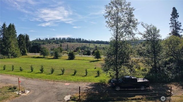 51 Cherry Ln, Quilcene, WA 98376 - photo 14