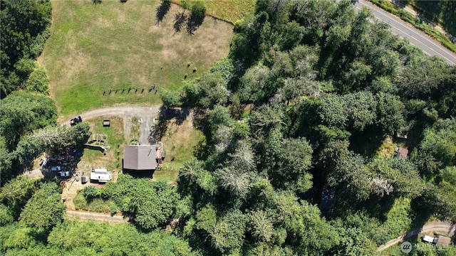 51 Cherry Ln, Quilcene, WA 98376 - photo 34
