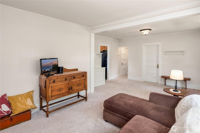 32112 E Bird St, Carnation, WA 98014 - carpeted living area with crown molding and baseboards