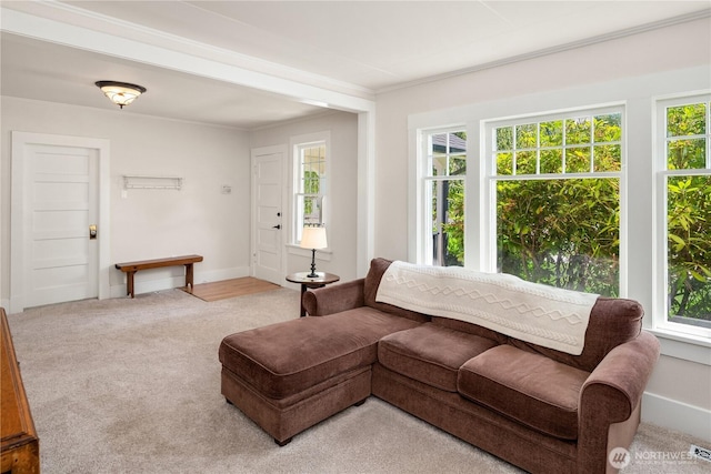 32112 E Bird St, Carnation, WA 98014 - carpeted living room with baseboards and ornamental molding