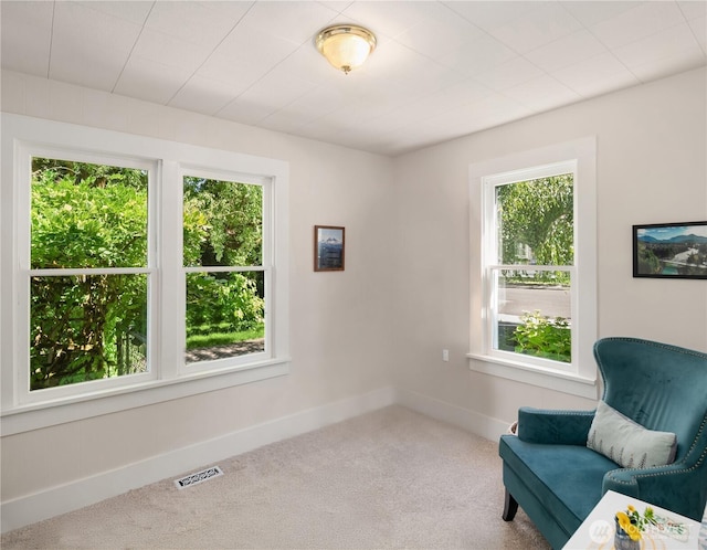 32112 E Bird St, Carnation, WA 98014 - living area with carpet and baseboards