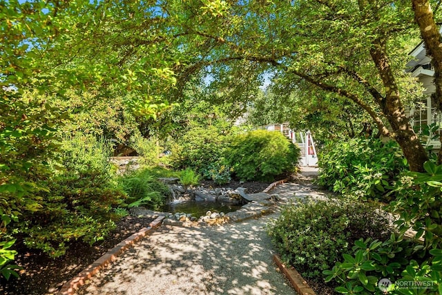 32112 E Bird St, Carnation, WA 98014 - view of yard