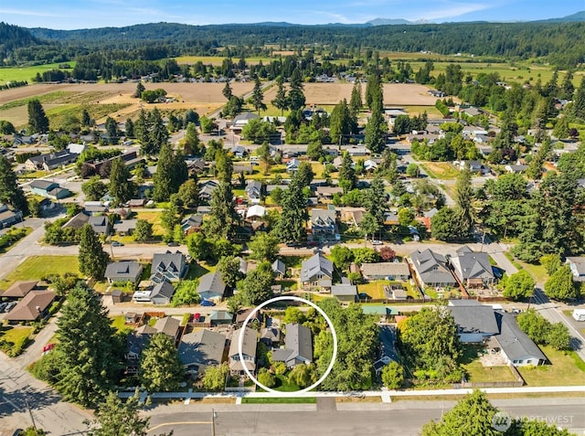 32112 E Bird St, Carnation, WA 98014 - aerial view of residential area with a forest and a mountain backdrop