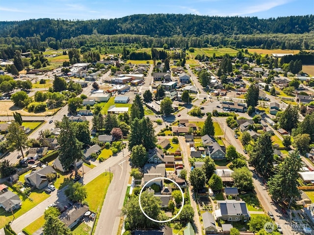 32112 E Bird St, Carnation, WA 98014 - aerial view of residential area with a heavily wooded area