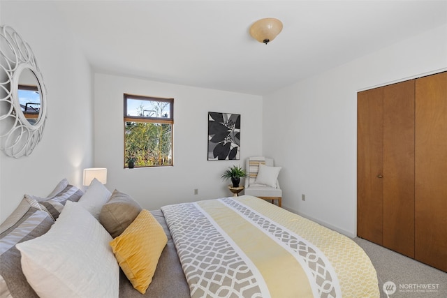8339 21st Ave NW, Seattle, WA 98117 - photo 21