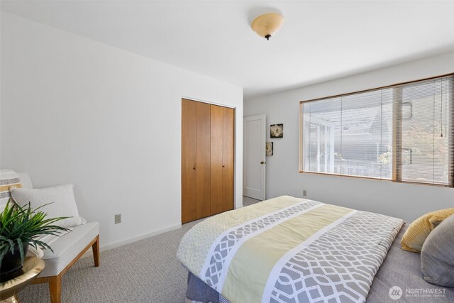8339 21st Ave NW, Seattle, WA 98117 - photo 22
