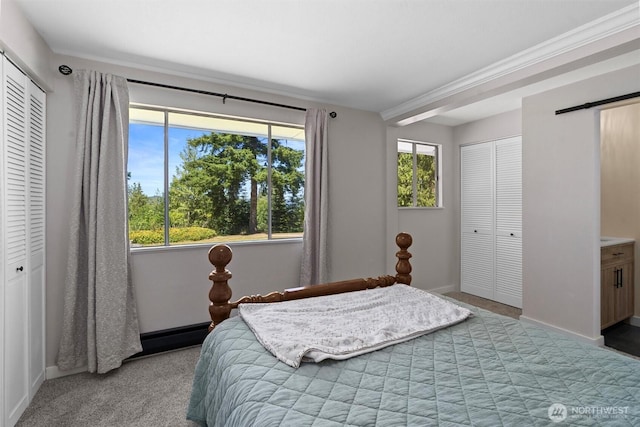 1173 Grauel Ramapo Rd, Port Angeles, WA 98363 - carpeted bedroom featuring a barn door and baseboards