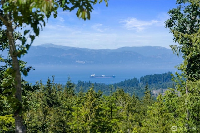 1173 Grauel Ramapo Rd, Port Angeles, WA 98363 - mountain view with a heavily wooded area