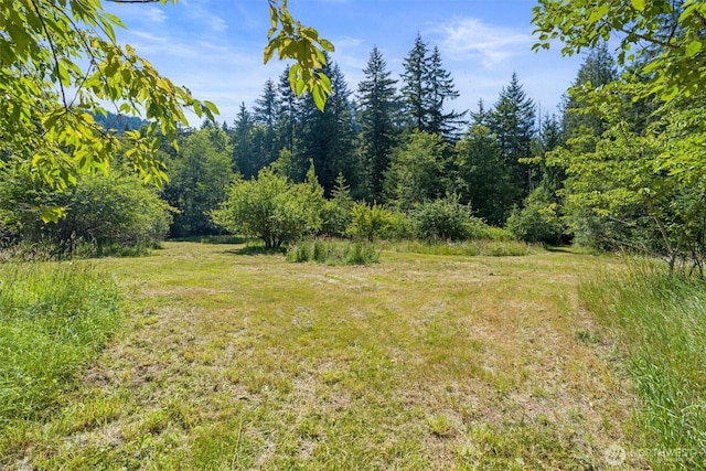 1173 Grauel Ramapo Rd, Port Angeles, WA 98363 - view of yard featuring a view of trees