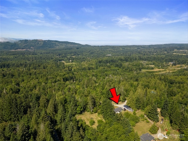1173 Grauel Ramapo Rd, Port Angeles, WA 98363 - view of property location featuring a heavily wooded area