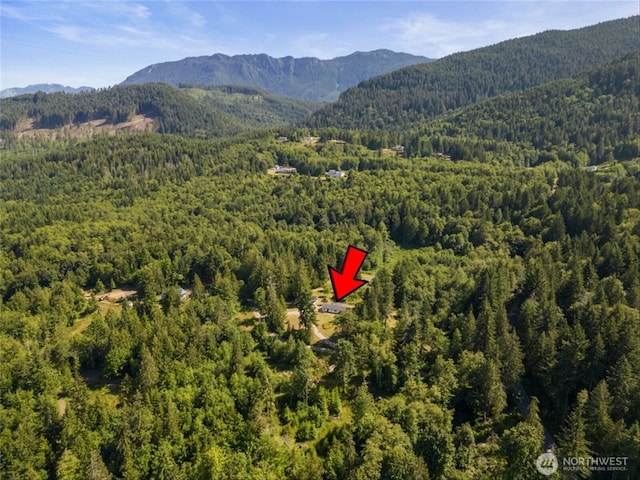 1173 Grauel Ramapo Rd, Port Angeles, WA 98363 - aerial view of a forest and a mountain backdrop