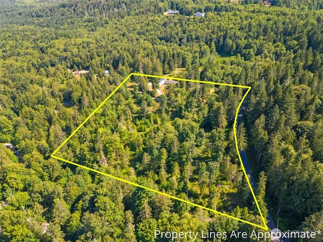 1173 Grauel Ramapo Rd, Port Angeles, WA 98363 - aerial overview of property's location with a heavily wooded area and property parcel outlined