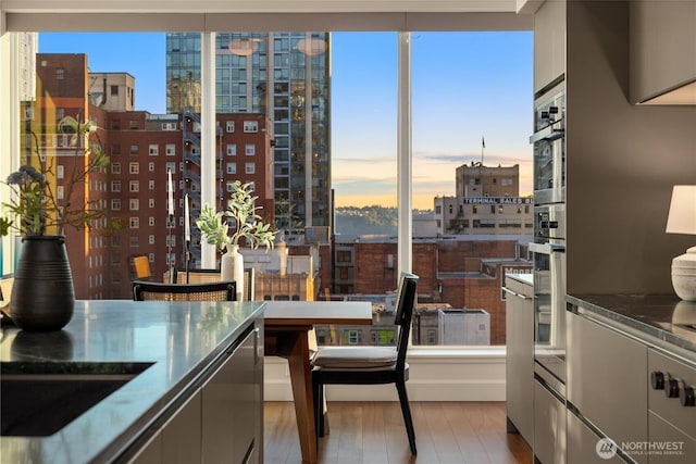 1920 4th Ave Unit 1105, Seattle, WA 98101 - kitchen featuring stainless steel countertops, a city view, and wood finished floors