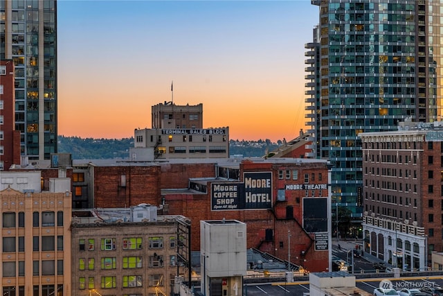 1920 4th Ave Unit 1105, Seattle, WA 98101 - view of city