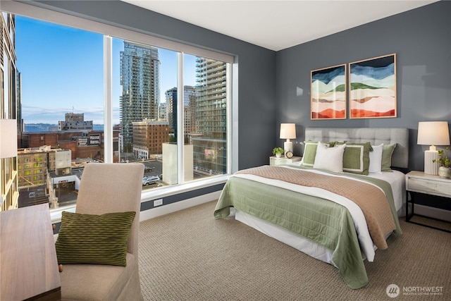 1920 4th Ave Unit 1105, Seattle, WA 98101 - bedroom with carpet and a city view