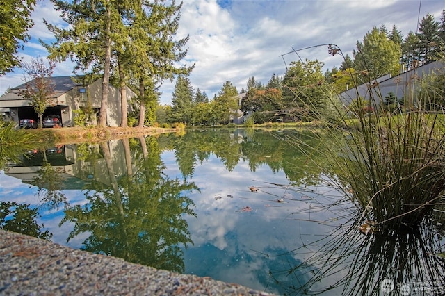 13838 NE 60th St Unit 165, Redmond, WA 98052 - water view