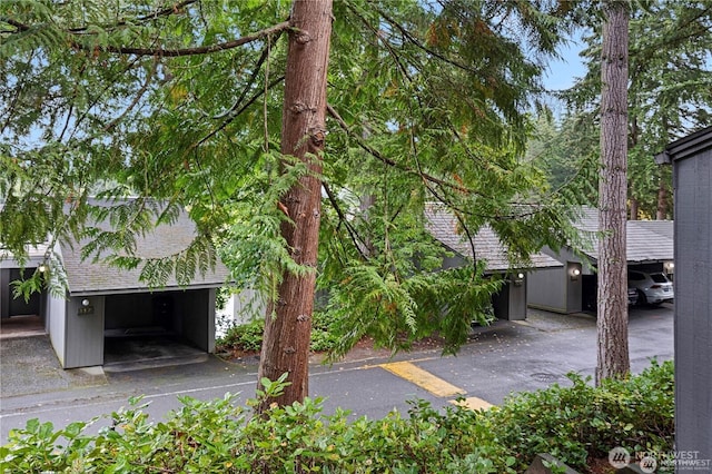 13838 NE 60th St Unit 165, Redmond, WA 98052 - view of yard